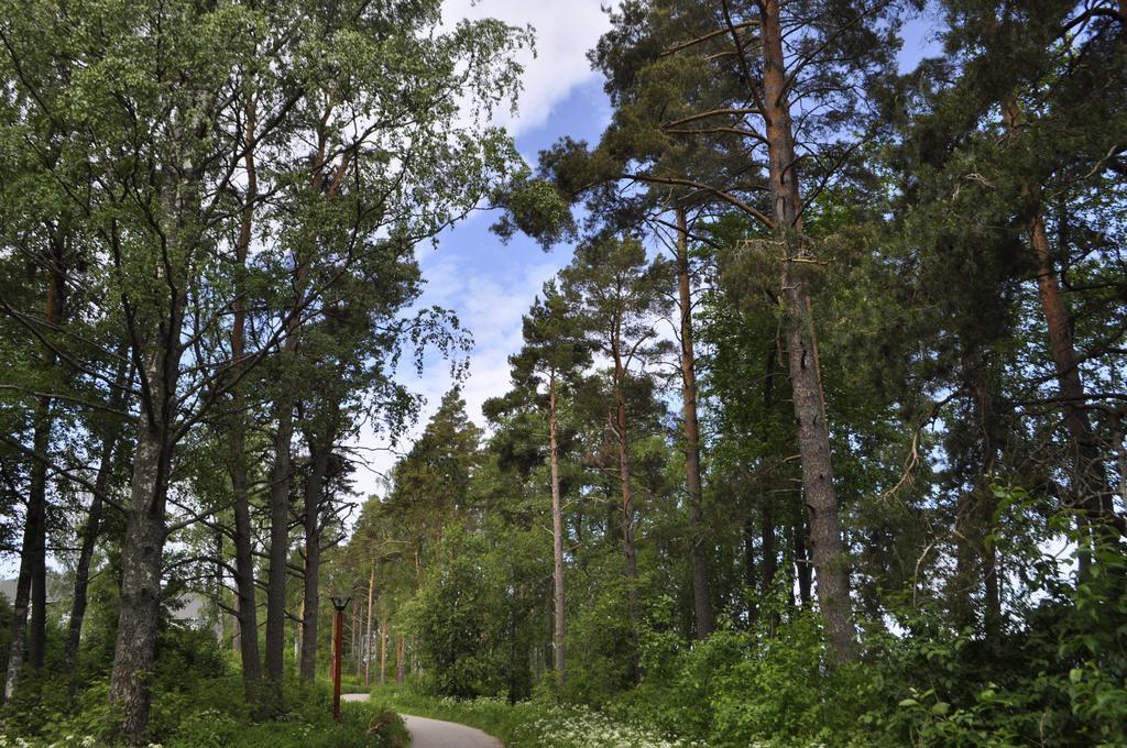 Kiurunrinne Villas Imatra Exterior photo